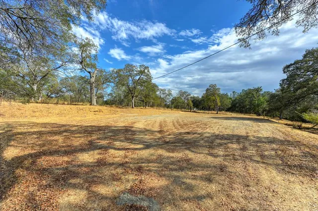 a view of yard with large trees