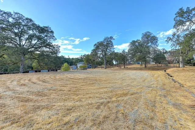 a view of open space with trees