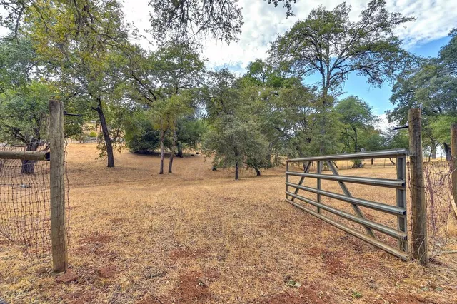 a view of park with trees