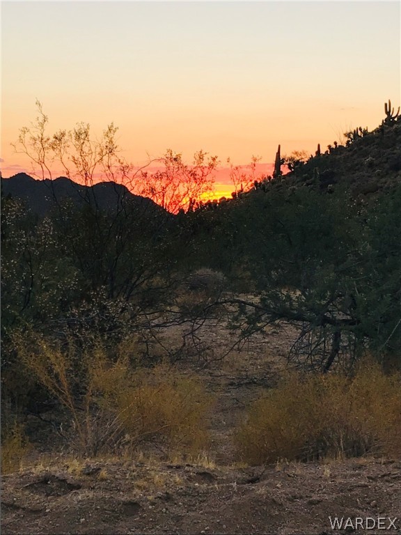 3007 South Alamo Road Golden Valley, AZ 86413 - Photo 13 of 23 View
