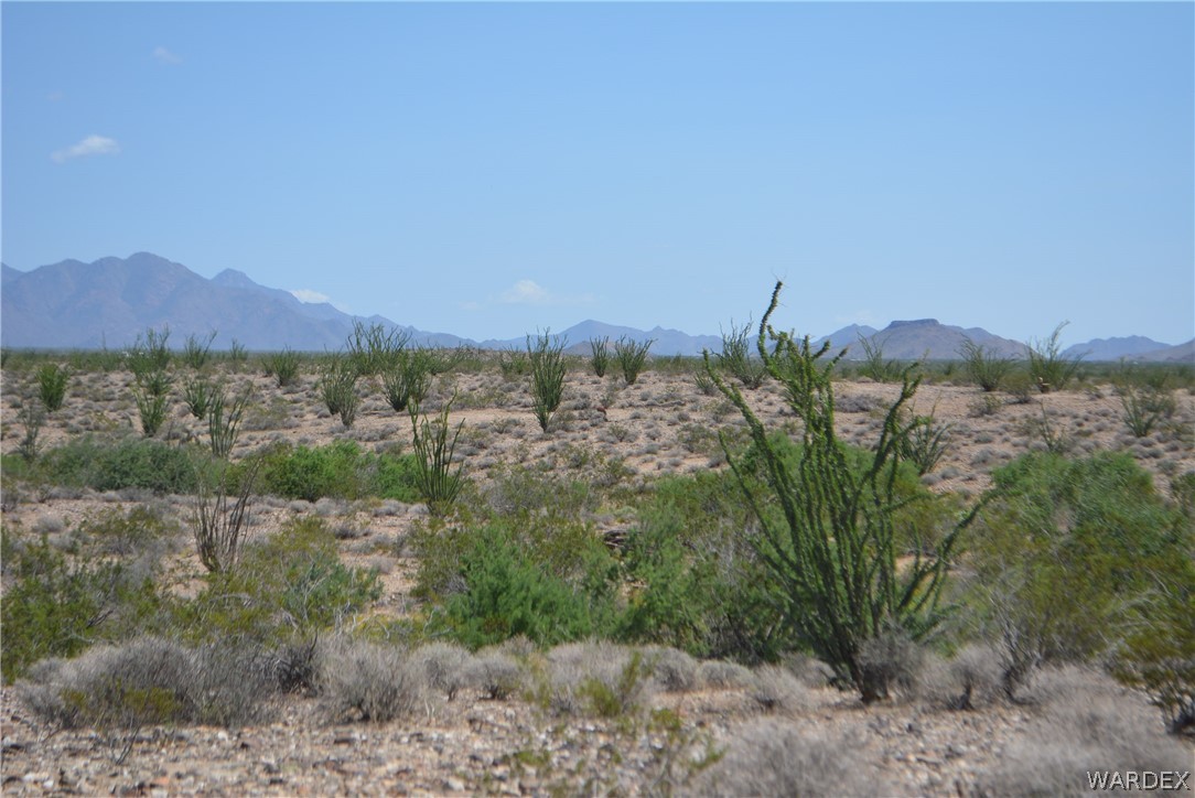 3007 South Alamo Road Golden Valley, AZ 86413 - Photo 19 of 23 View