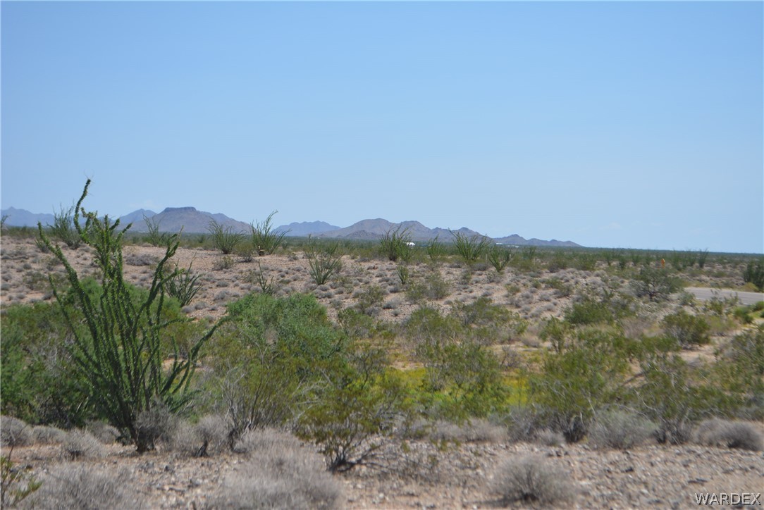 3007 South Alamo Road Golden Valley, AZ 86413 - Photo 20 of 23 View