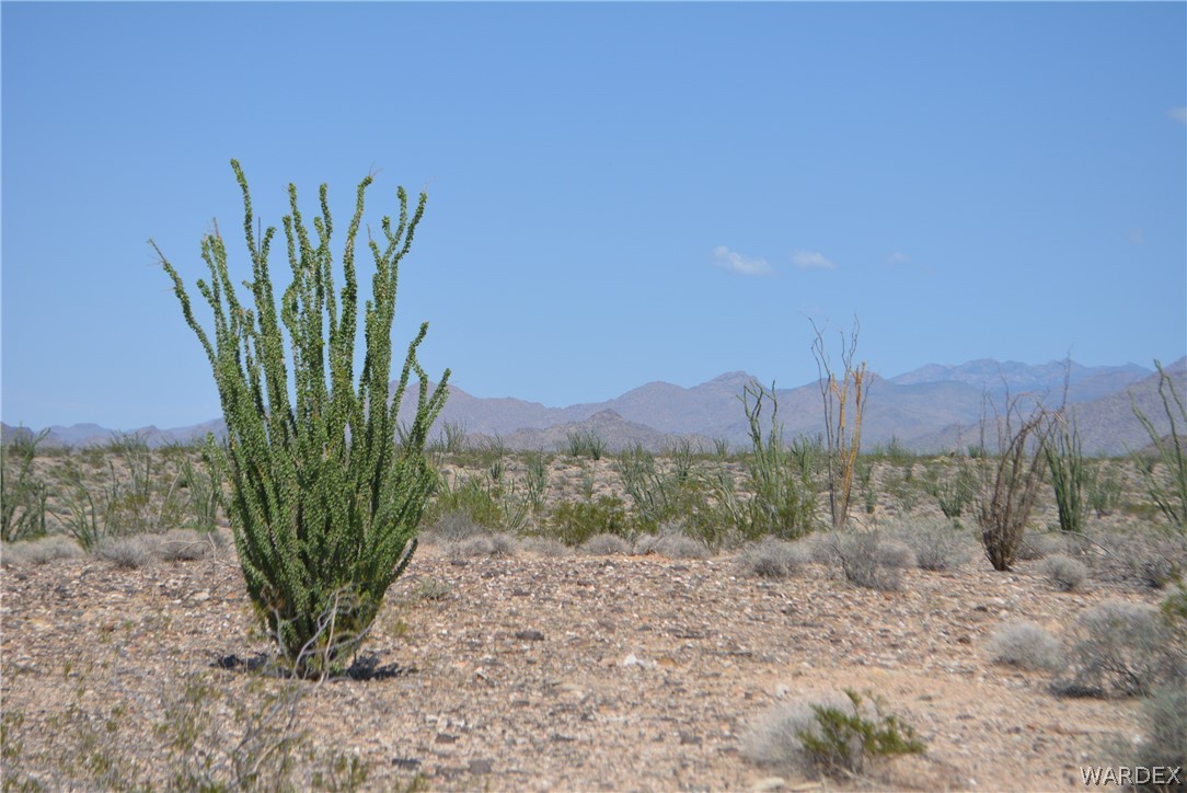 3007 South Alamo Road Golden Valley, AZ 86413 - Photo 2 of 23 View