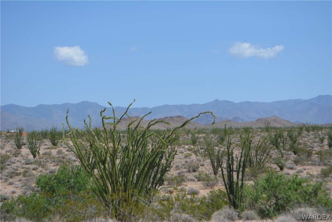 3007 South Alamo Road Golden Valley, AZ 86413 - Photo 21 of 23 View