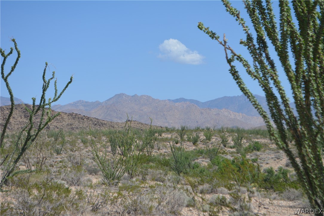 3007 South Alamo Road Golden Valley, AZ 86413 - Photo 22 of 23 View
