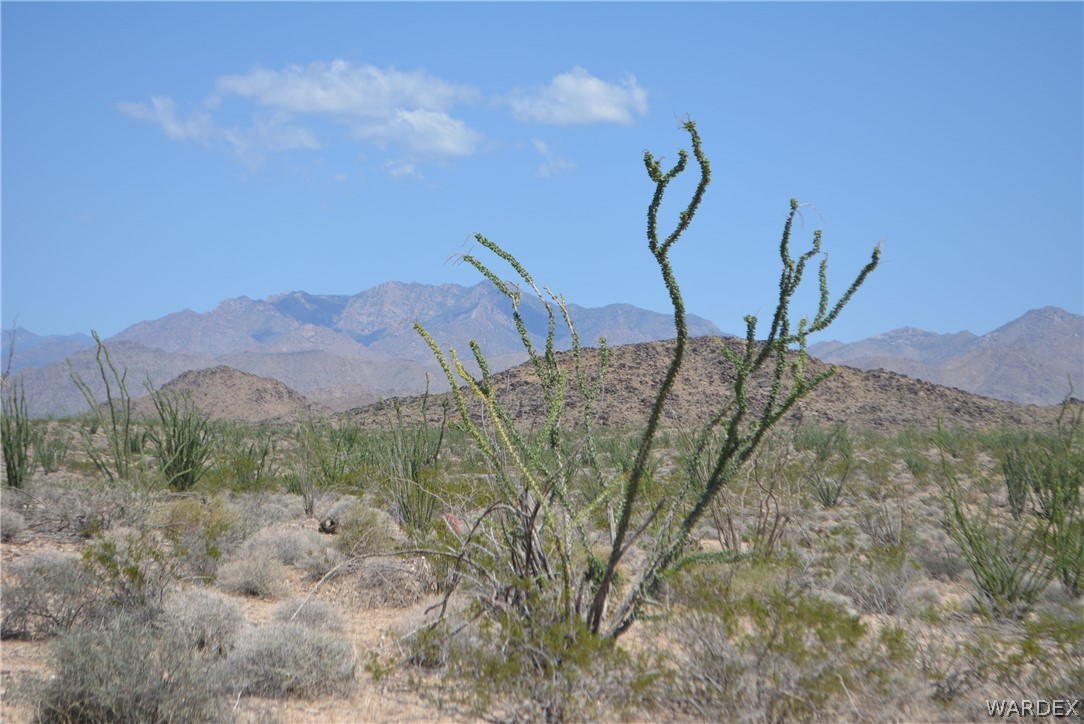 3007 South Alamo Road Golden Valley, AZ 86413 - Photo 23 of 23 View