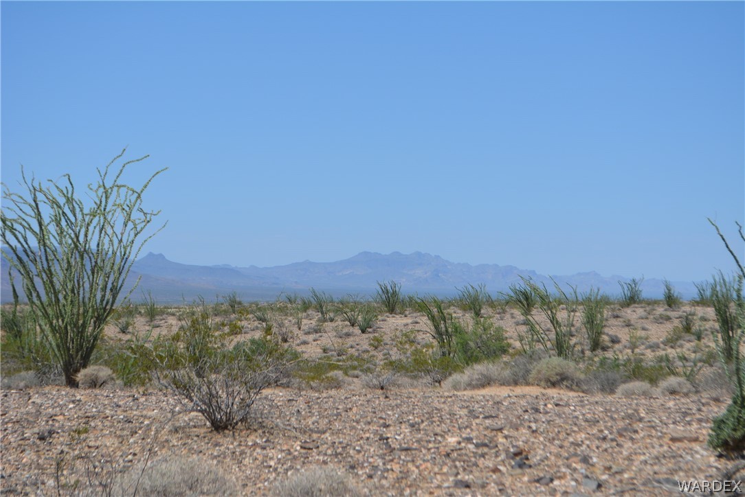 3007 South Alamo Road Golden Valley, AZ 86413 - Photo 3 of 23 View