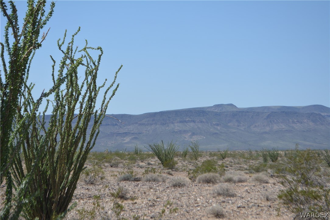 3007 South Alamo Road Golden Valley, AZ 86413 - Photo 4 of 23 View