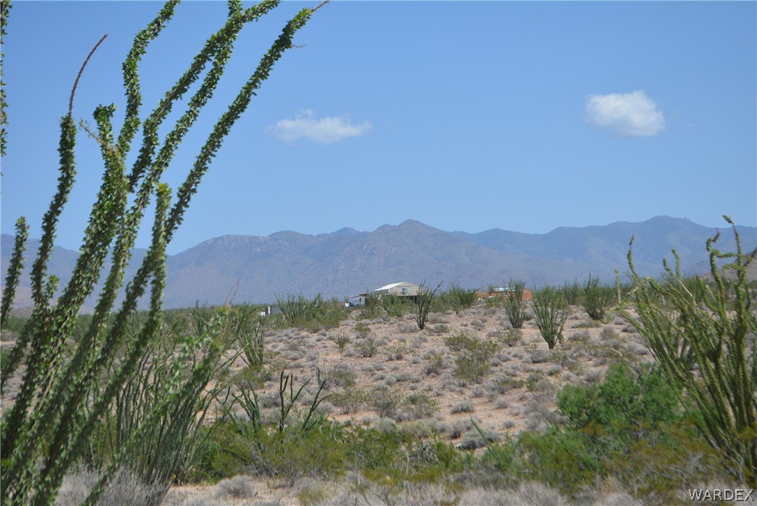 3007 South Alamo Road Golden Valley, AZ 86413 - Photo 8 of 23 View