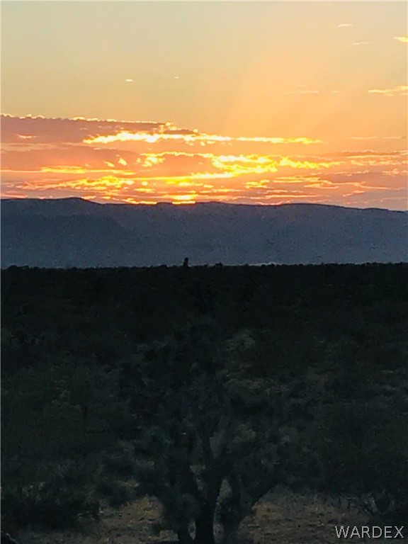 3007 South Alamo Road Golden Valley, AZ 86413 - Photo 10 of 23 View