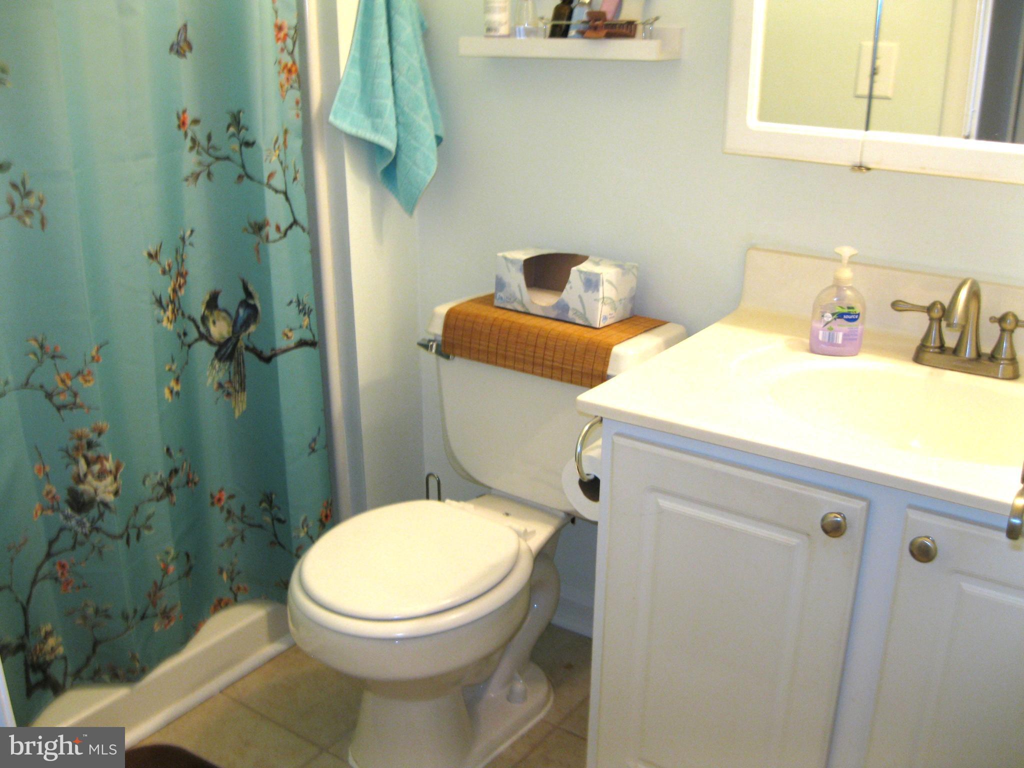 18308 Streamside Drive, Unit 102 Gaithersburg, MD 20879 - Photo 14 of 26 Primary Bathroom