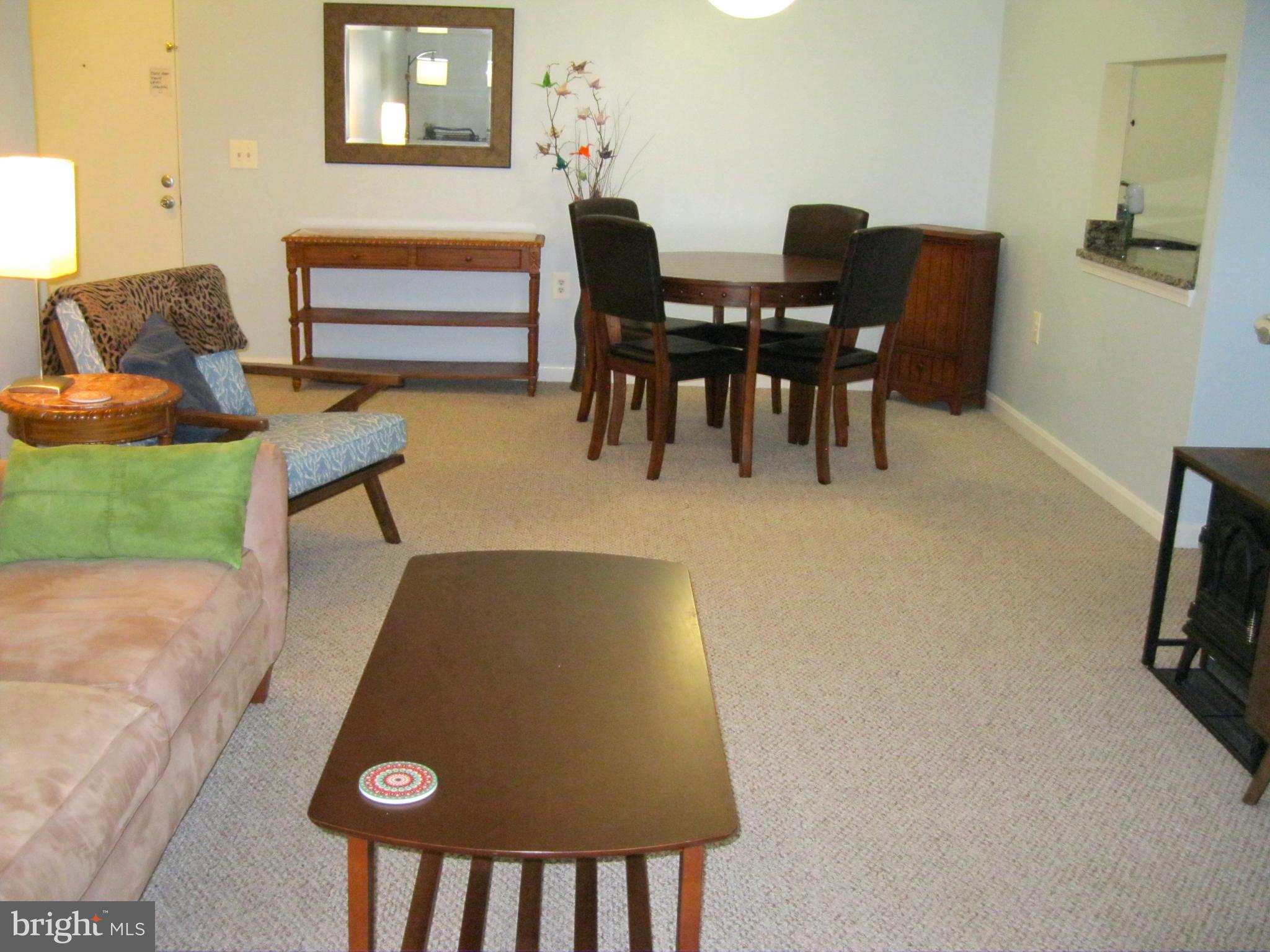 18308 Streamside Drive, Unit 102 Gaithersburg, MD 20879 - Photo 5 of 26 Living Room