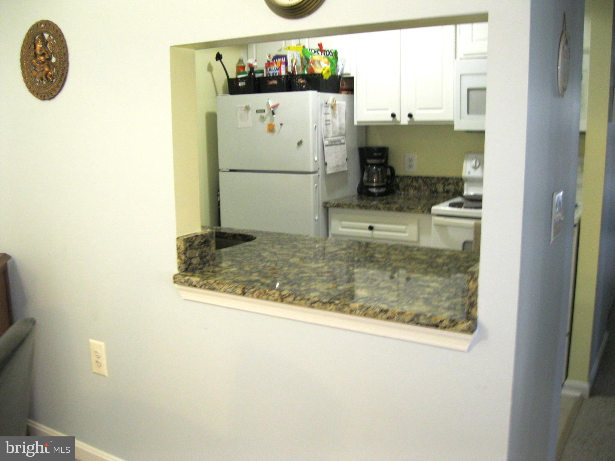 18308 Streamside Drive, Unit 102 Gaithersburg, MD 20879 - Photo 8 of 26 Open Kitchen