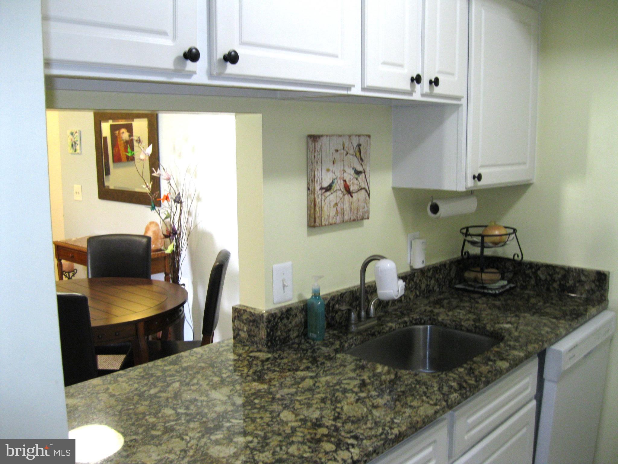 18308 Streamside Drive, Unit 102 Gaithersburg, MD 20879 - Photo 10 of 26 Marble Counters