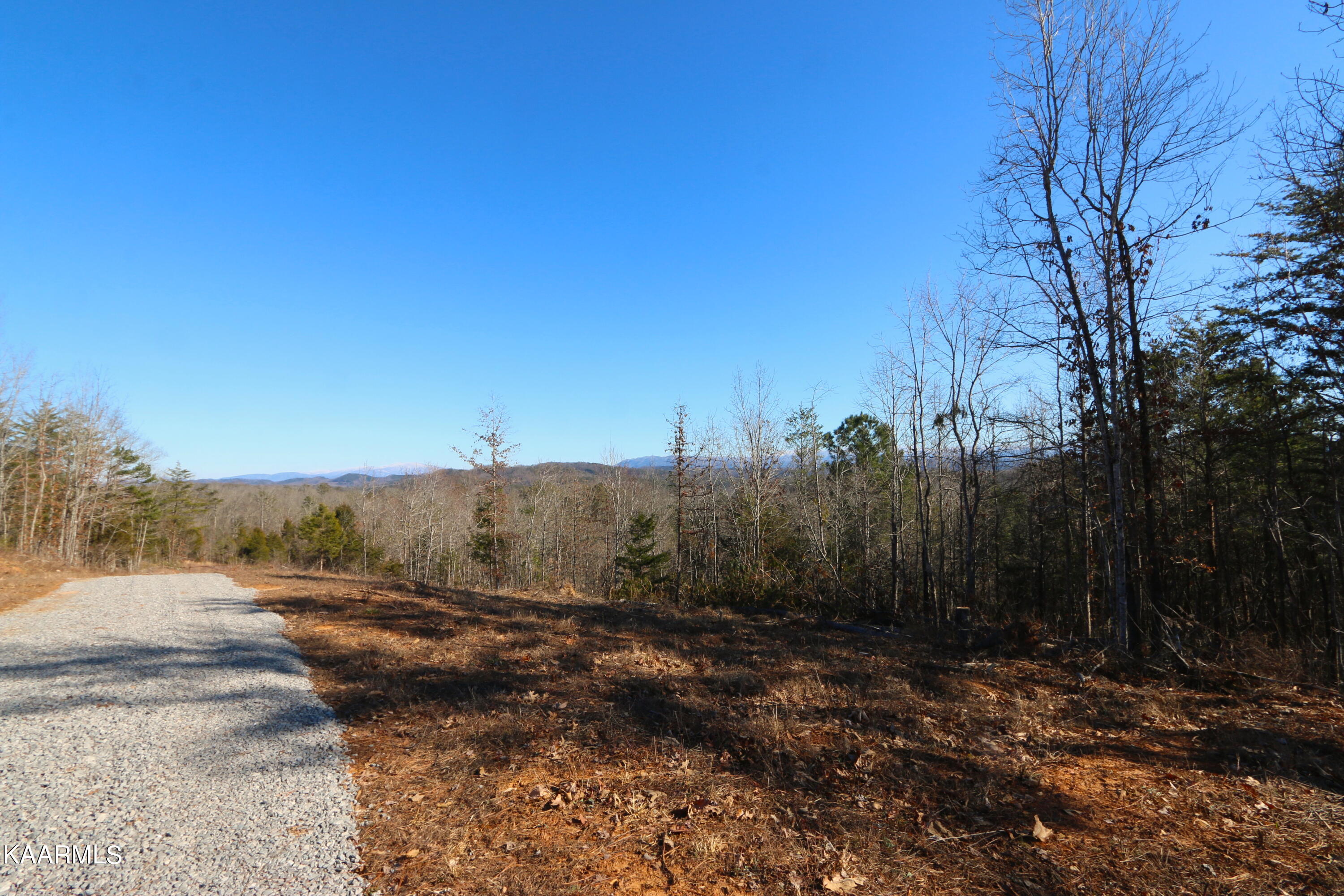 12 Bill Moser Road Vonore, TN 37885 - Photo 11 of 19 IMG_0282