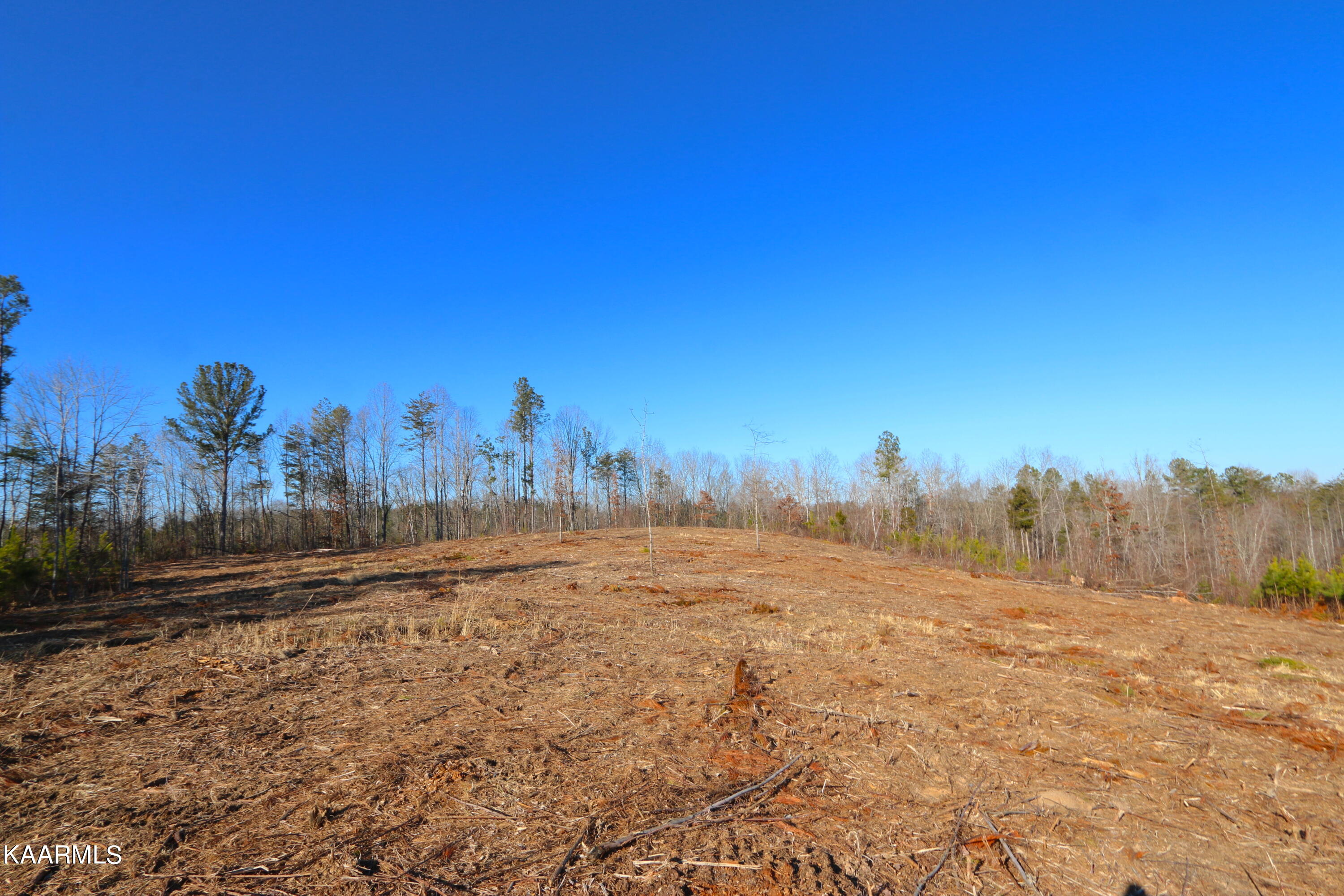 12 Bill Moser Road Vonore, TN 37885 - Photo 15 of 19 IMG_0337