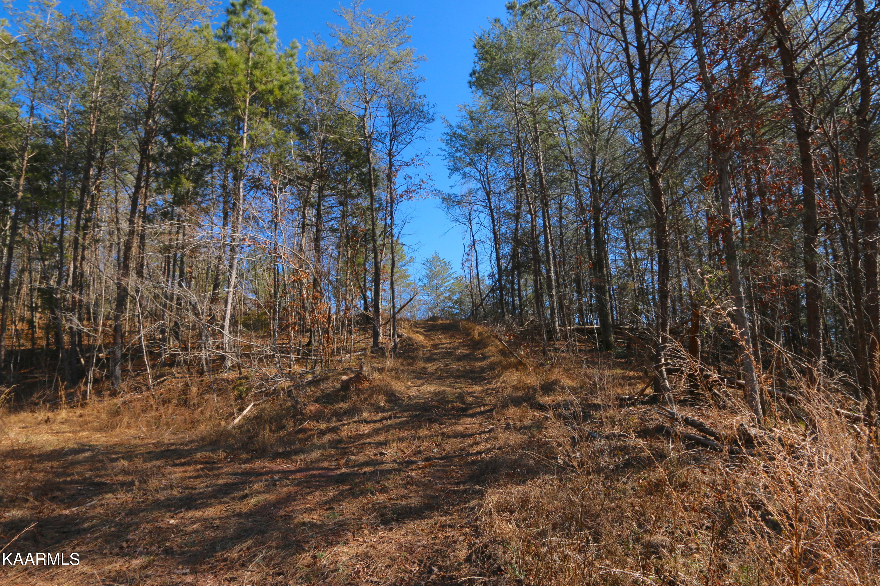 12 Bill Moser Road Vonore, TN 37885 - Photo 8 of 19 IMG_0146
