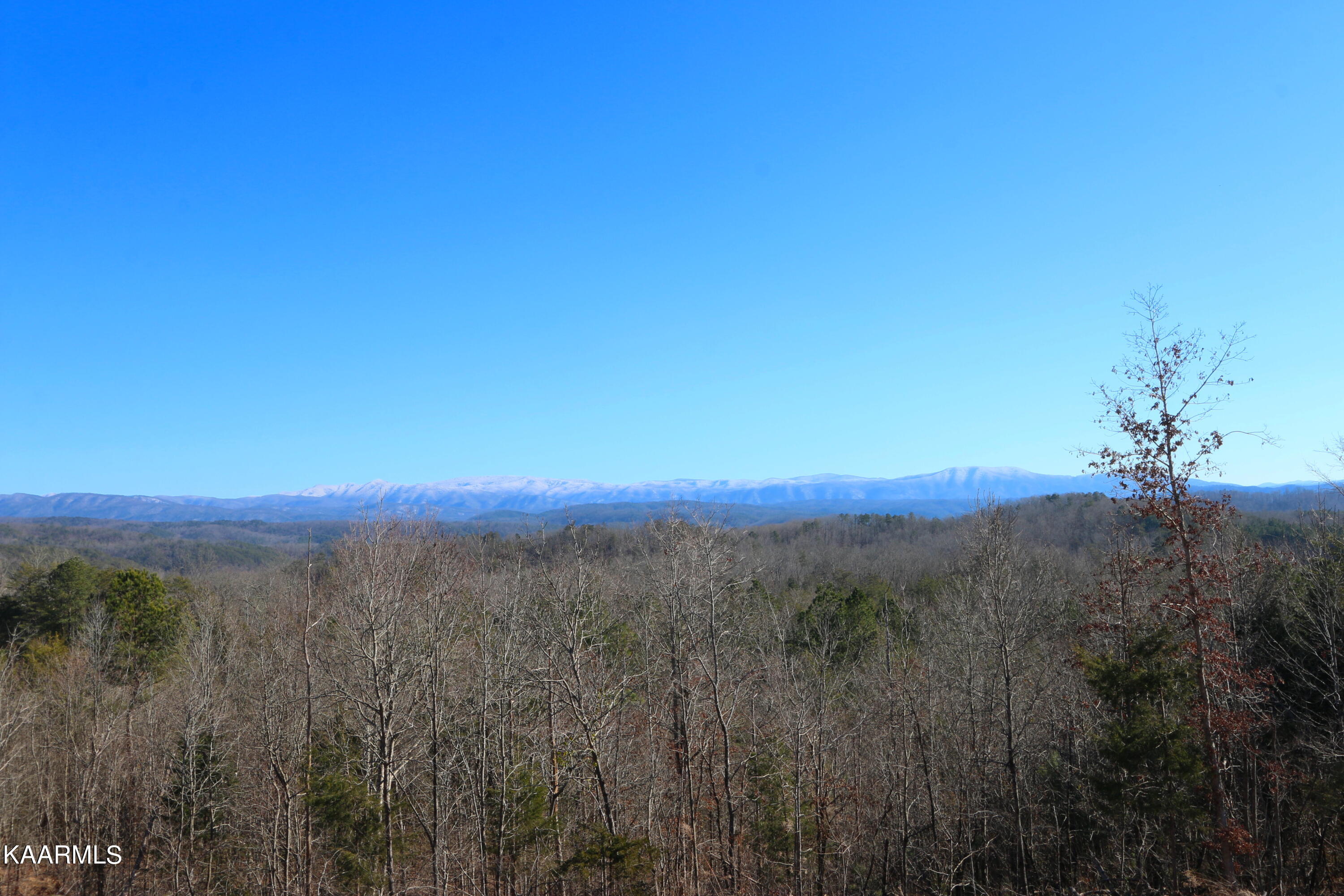 12 Bill Moser Road Vonore, TN 37885 - Photo 10 of 19 IMG_0279