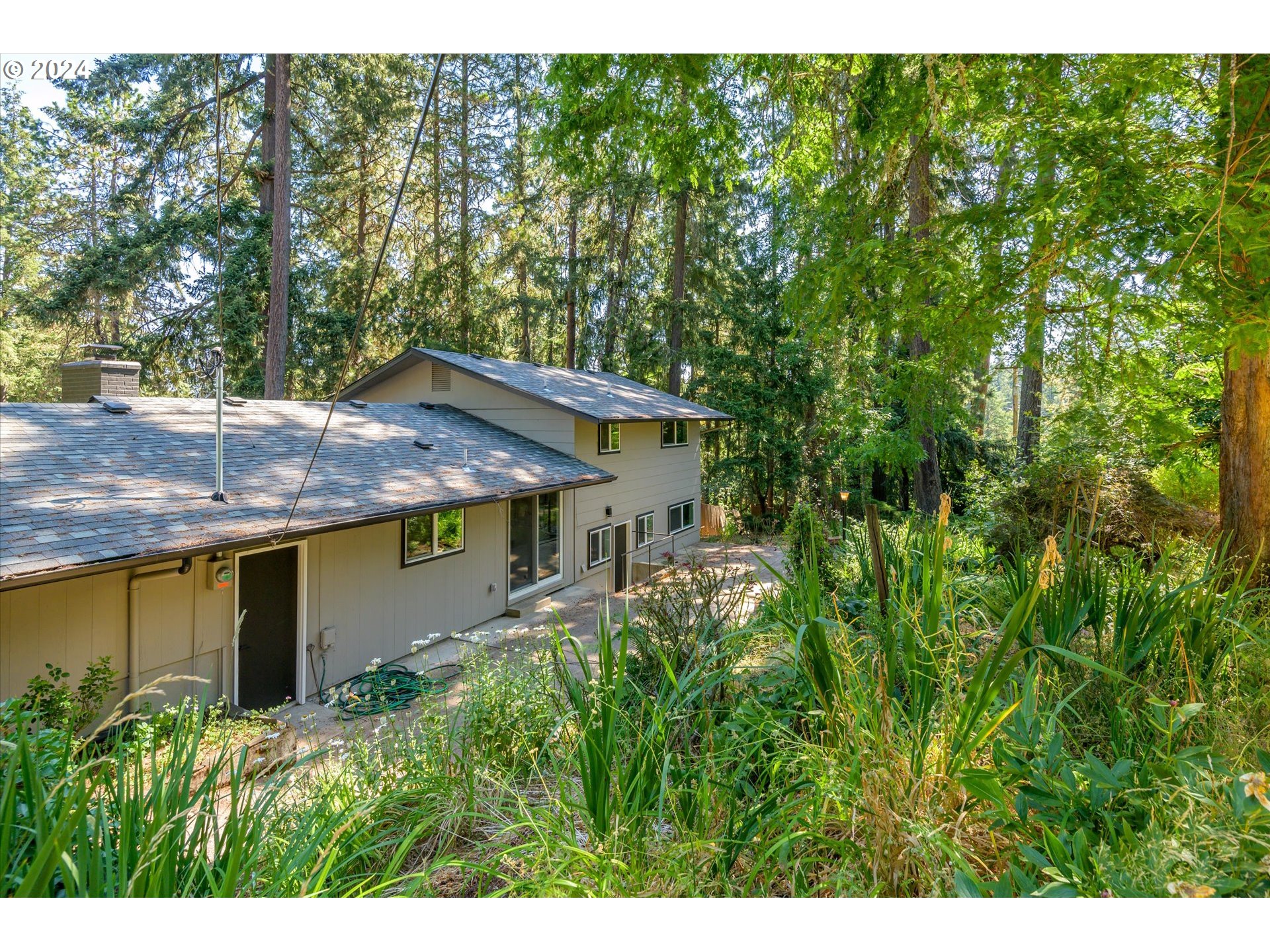 70 Coachman Drive Eugene, OR 97405 - Photo 31 of 43 a view of a backyard with plants
