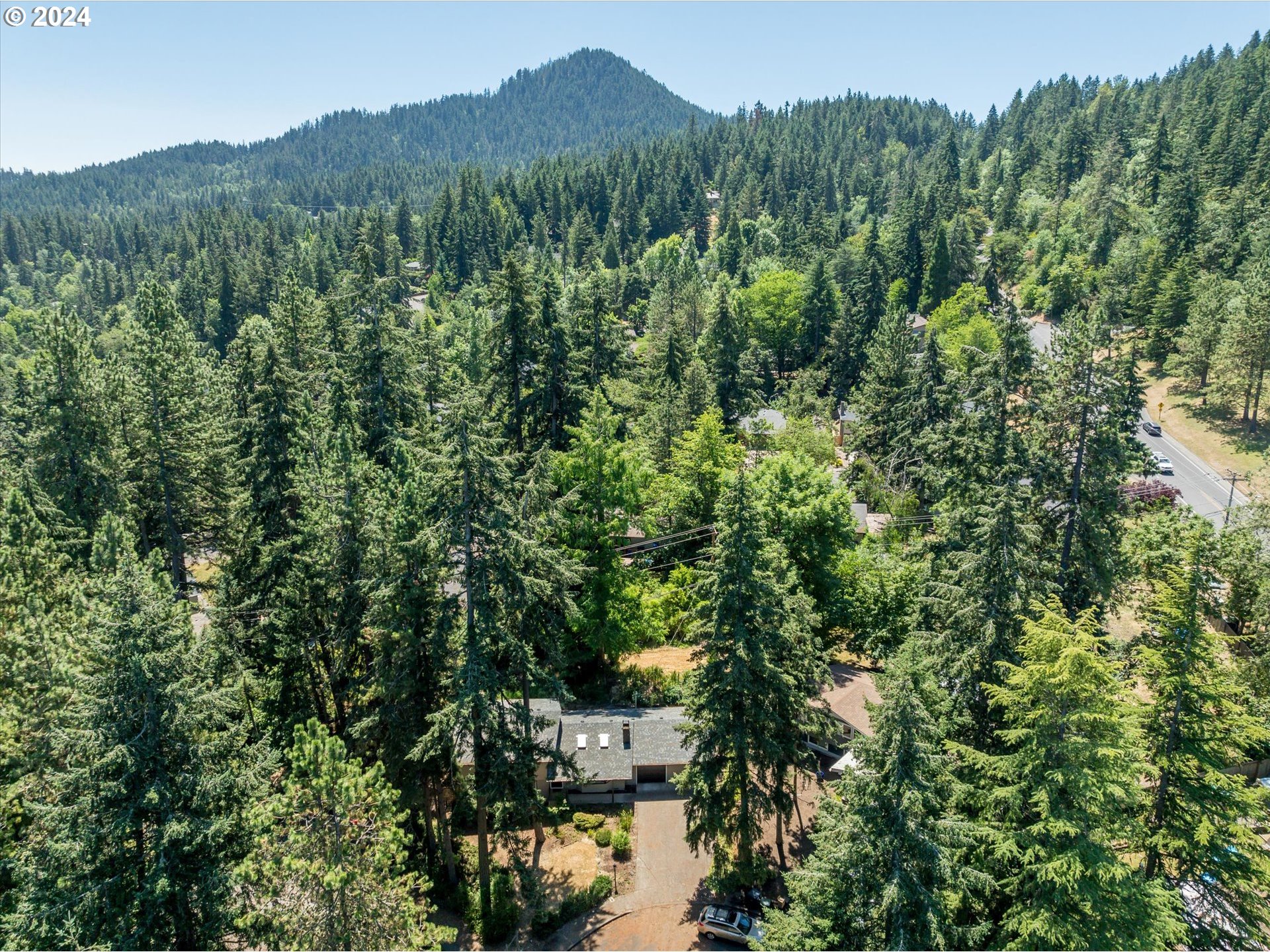 70 Coachman Drive Eugene, OR 97405 - Photo 41 of 43 a view of a forest with a street