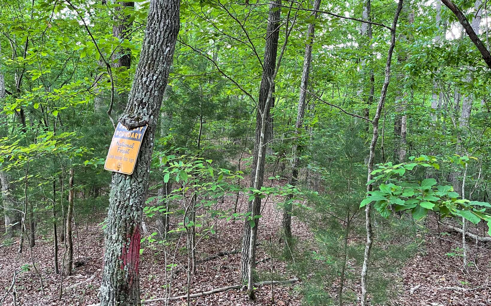 13 Ac South Road Morganton, GA 30560 - Photo 1 of 4 Main View