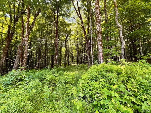 $59,900 | 17 Cassio Road, Williamstown, NY 13493