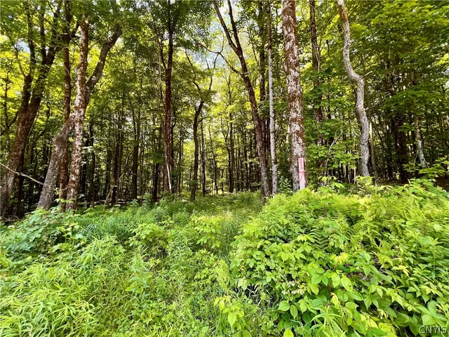 $59,900 | 17 Cassio Road, Williamstown, NY 13493