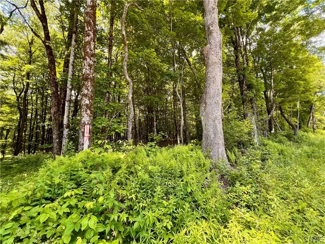 $59,900 | 17 Cassio Road, Williamstown, NY 13493