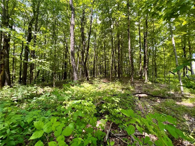 $59,900 | 17 Cassio Road, Williamstown, NY 13493