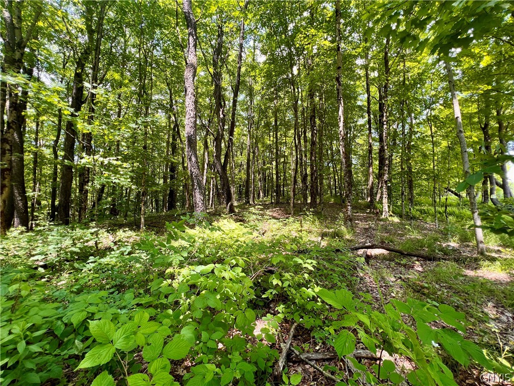 17 Cassio Road Williamstown, NY 13493 - Photo 3 of 7