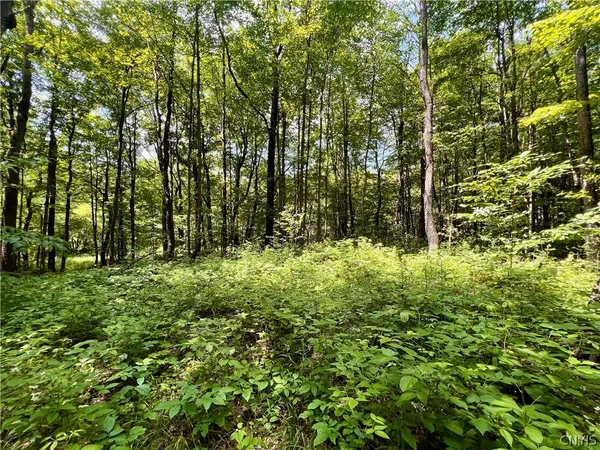 $59,900 | 17 Cassio Road, Williamstown, NY 13493