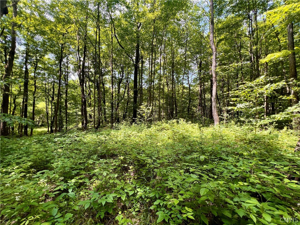 17 Cassio Road Williamstown, NY 13493 - Photo 4 of 7