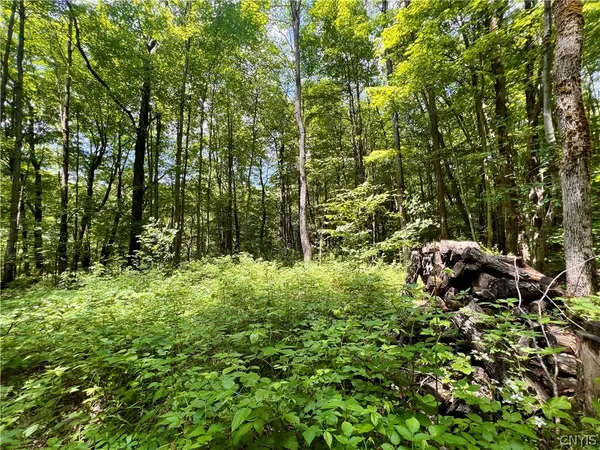 $59,900 | 17 Cassio Road, Williamstown, NY 13493