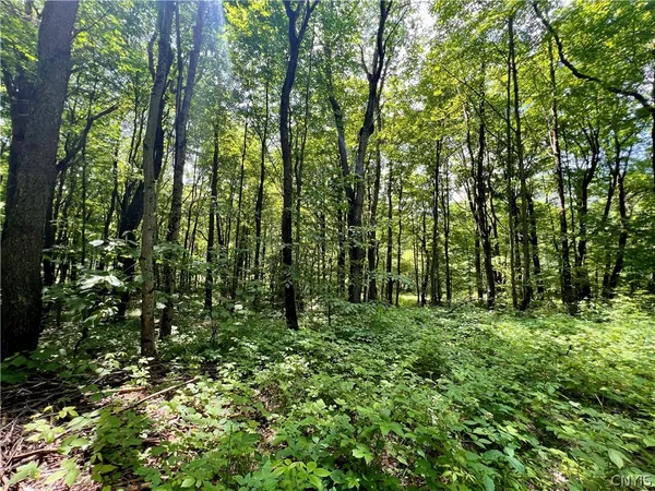 $59,900 | 17 Cassio Road, Williamstown, NY 13493