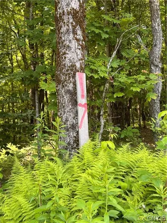 $59,900 | 17 Cassio Road, Williamstown, NY 13493