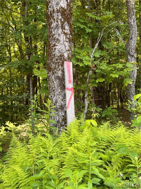 17 Cassio Road Williamstown, NY 13493 - Photo 7 of 7