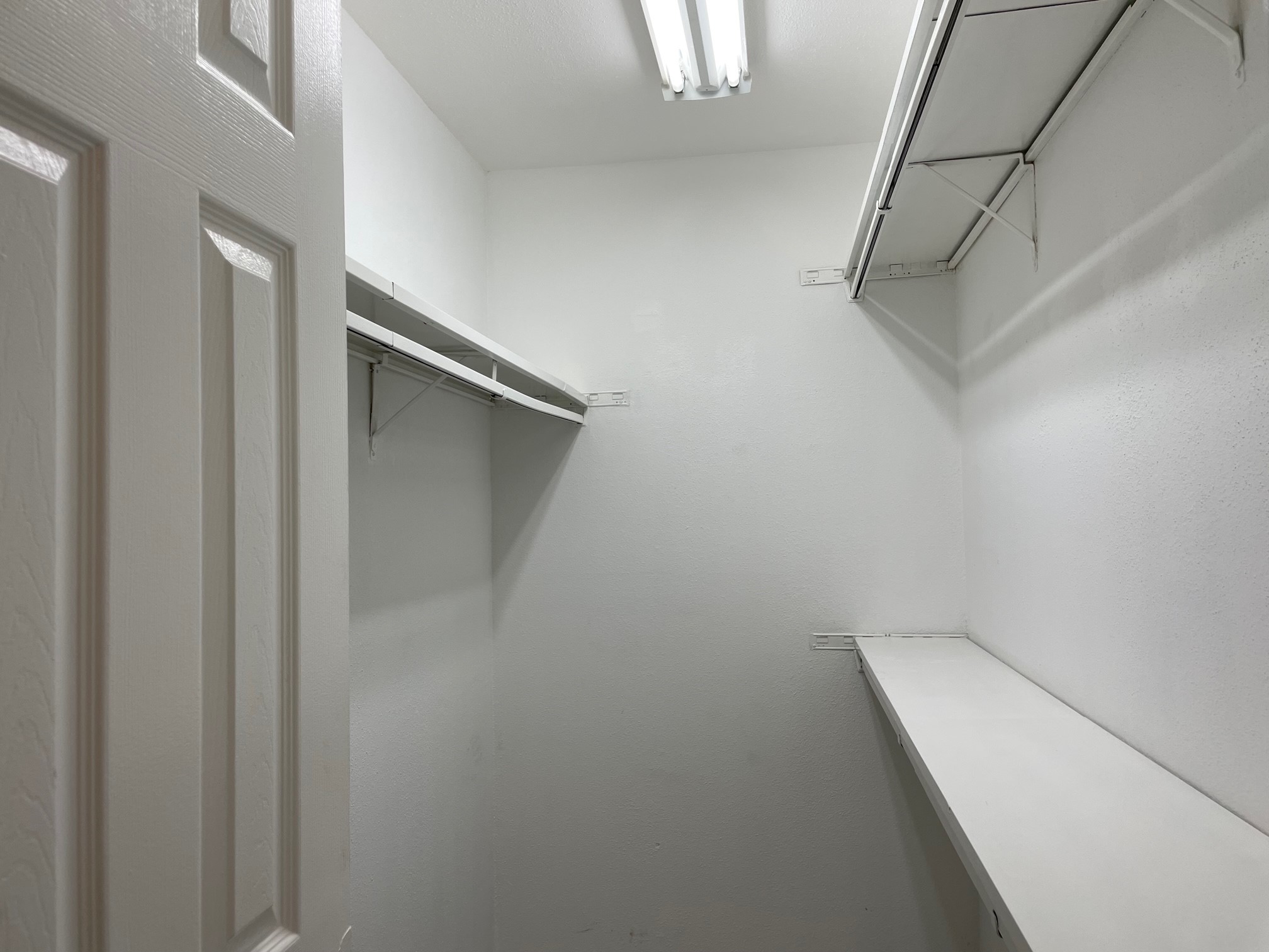 6401 Deihl Road, Unit 202 Houston, TX 77092 - Photo 9 of 22 Primary Bedroom closet