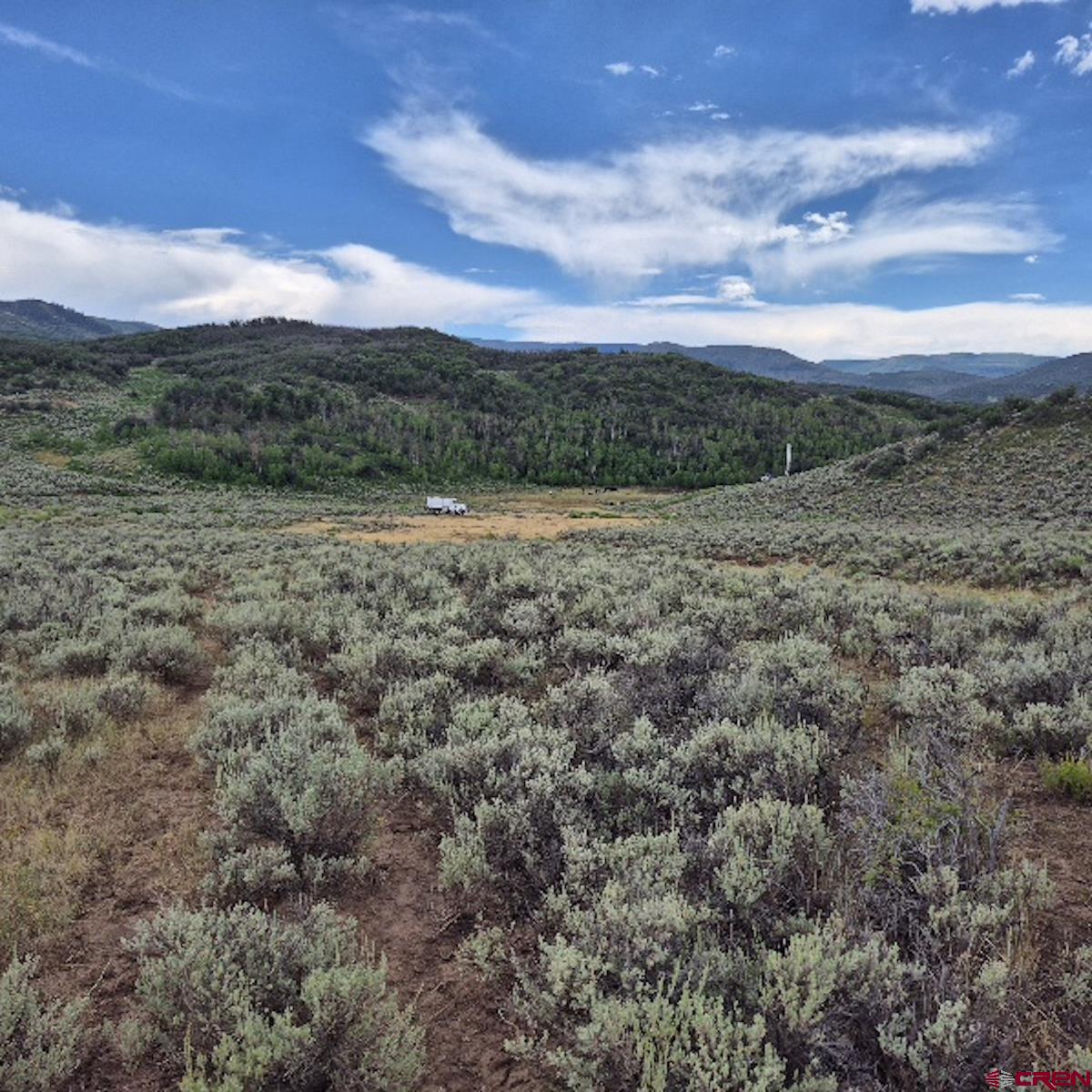 8 Harrison Creek Road Collbran, CO 81624 - Photo 27 of 40 Gallery Image 27
