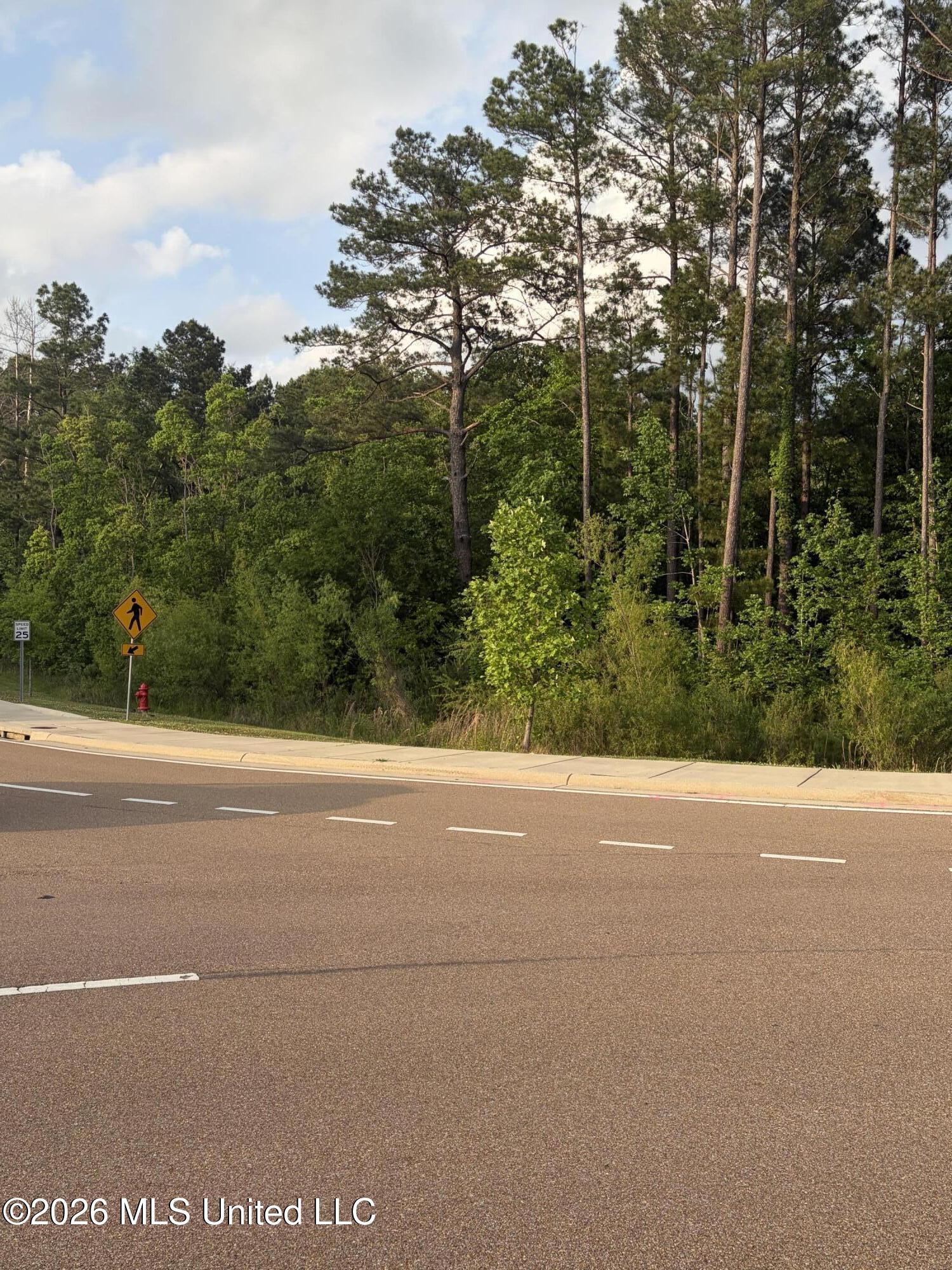 Airport Road Flowood, MS 39232 - Photo 3 of 8 Land Image 99