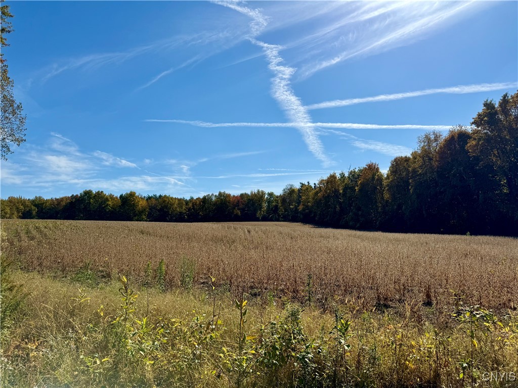1241 County Line Road Granby, NY 13069 - Photo 1 of 1