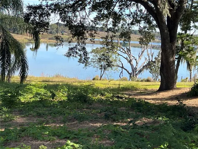 a view of a yard with a tree