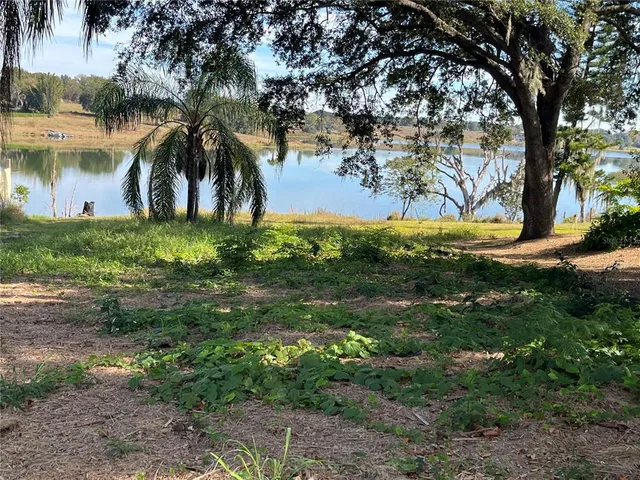 a view of a yard with a tree