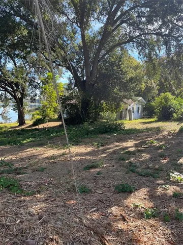 a view of a yard with a tree