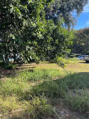 a view of yard with green space