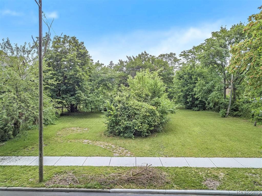 227 Alger Street Detroit, MI 48202 - Photo 6 of 12 Gallery Image 6