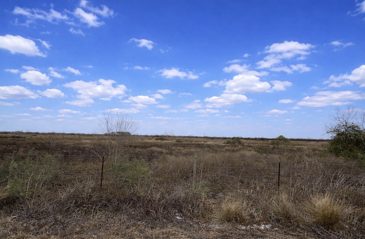 0 Kemp Road Needville, TX 77461 - Photo 1 of 5