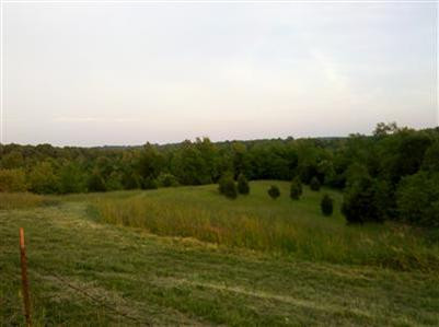 10835 New Columbus Road Owenton, KY 40359 - Photo 9 of 16 Gallery Image 9