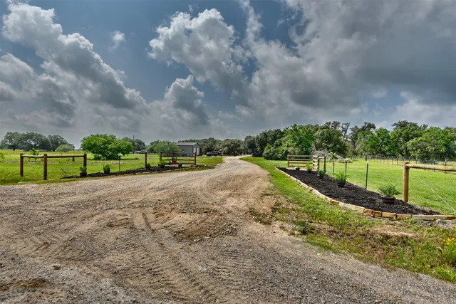 a green field with lots of bushes