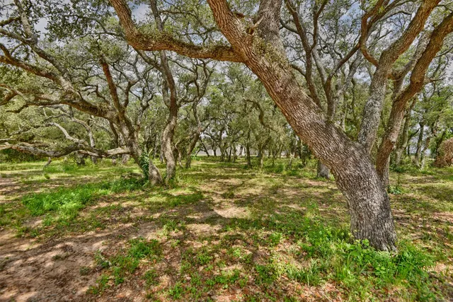 a view of outdoor space with deck and yard