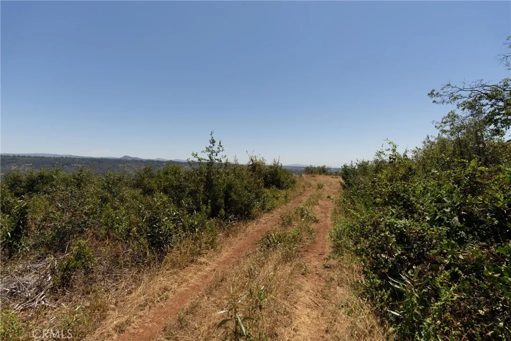 0 Doe Mill Road Magalia, CA 95954 - Photo 7 of 50